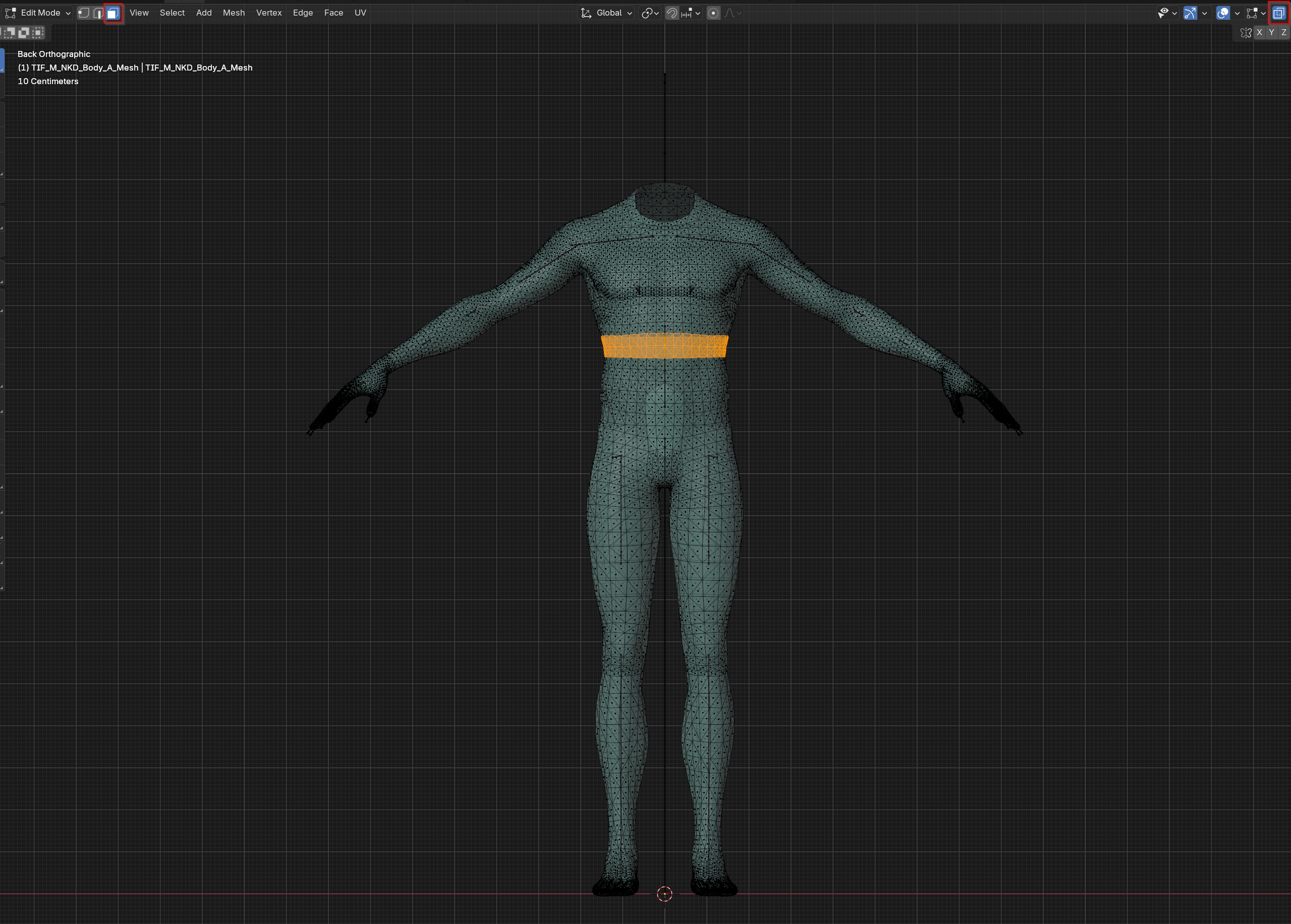 vertexpaintingmeshes_editmode.png
